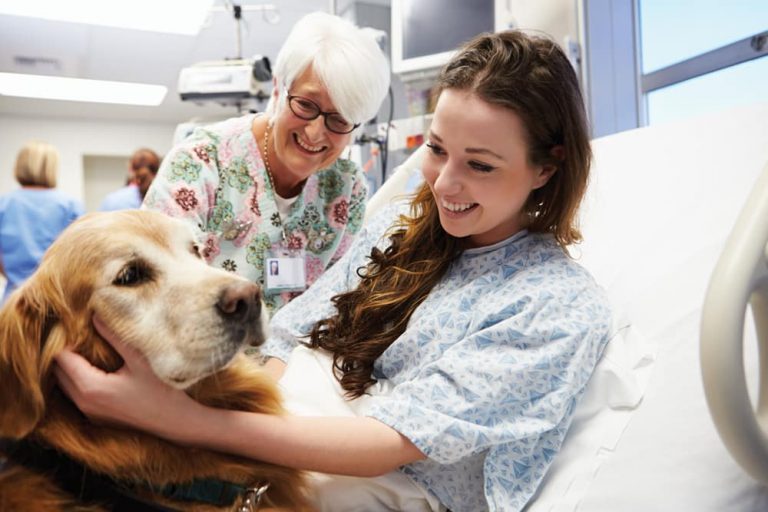How Is Dog Therapy Helping People To Overcome Mental Issues?