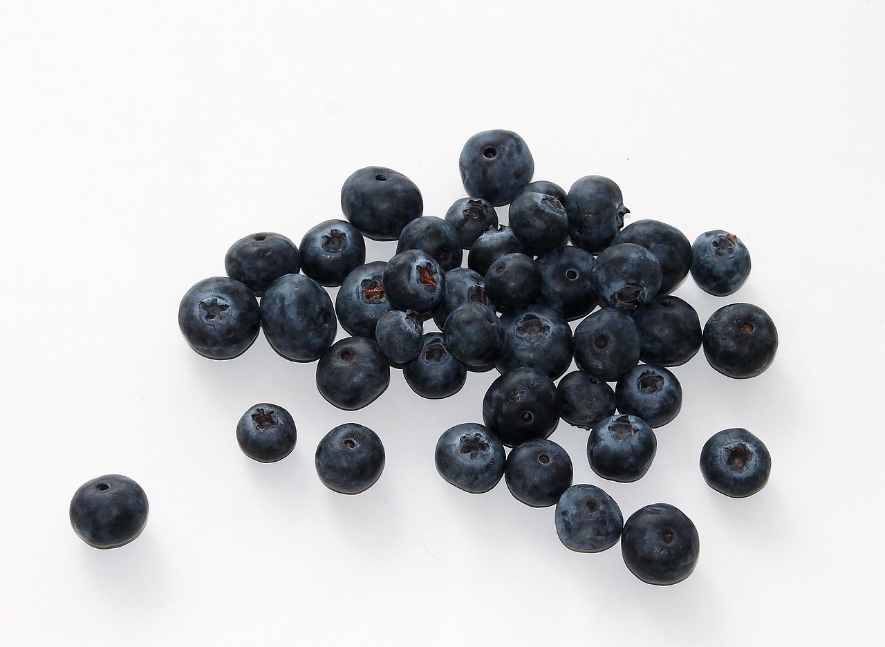 Blueberry, fruit, food — 5 Important Reasons Why Therapy Works in Treating Addiction