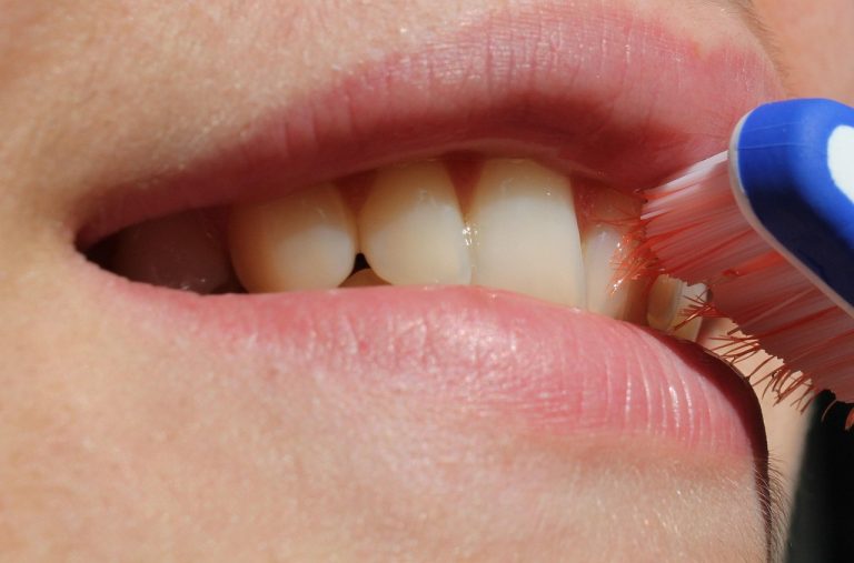 Toothbrush, smile, teeth — Read this detailed guide for handling common dental emergencies