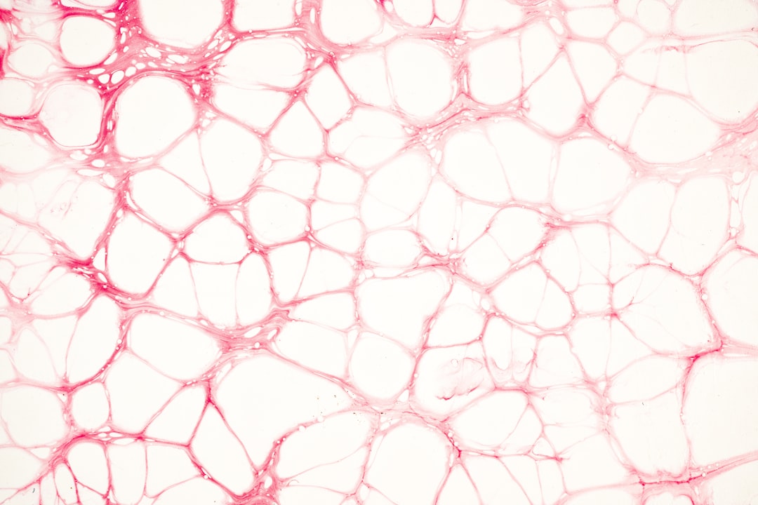 Close-up view of stained tissue cells